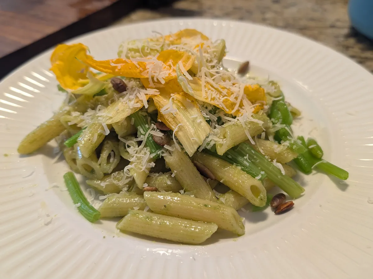Assiette de penne au pesto de feuilles de zucchini garnie de pétales de fleurs de zucchini crues et de pecorino râpé